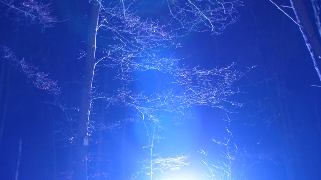 blind_bos_aurorameccanica_01