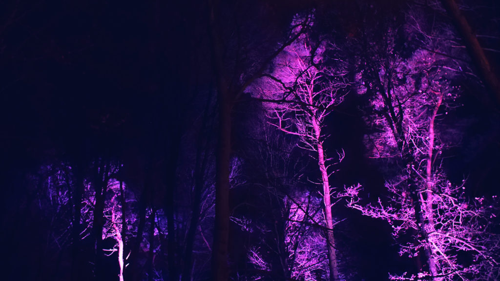 blind_bos_aurorameccanica_03